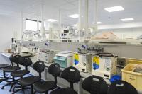 Science is the new national security. What it means for Italy
