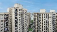 Housing prices rise 6% YoY despite sales dip; Gurugram, Noida lead Delhi-NCR real estate growth