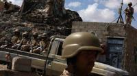 Yemeni forces target Houthi positions in western Yemen