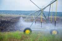 AfDB plans to invest nearly Rwf590bn in Rwanda’s agriculture