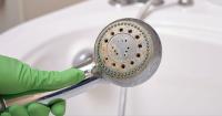 Showers stay cleaner and limescale-free if you use 1 item — no chemicals or baking soda