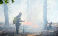 As Climate-Fuelled Wildfires Rage, Mark Carney Cuts Emergency Response and Funds Fossil Fuels