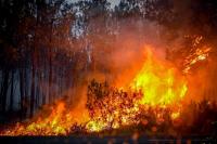 Scientists sound the alarm on wildfires: Risk of a 39 per cent increase in the best-case scenario