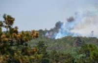 Serbia did not activate the EU Civil Protection Mechanism, but turned to Russia for a firefighting  “Ilyushin” plane
