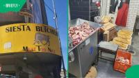 Cats found feasting on meat at Siesta MTN Butchery during Johannesburg CBD inspection