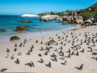 South Africa adds R500 processing fee to ETA system; here’s what travellers will pay