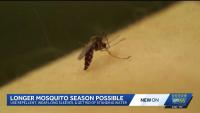 Longer mosquito season raises West Nile risk in New Mexico