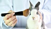 Argentina: bill to ban animal testing of cosmetics and promote alternative methods
