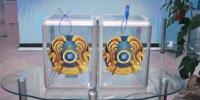 Kazakhstan’s First Kurultai Election Draws Broad Observation