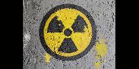 Uzbekistan Plans Second Nuclear Power Plant Before First Is Ready