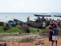 FISHING CRACKDOWN! Govt Orders Licensing, Removes Illegal Boats as Stocks Plunge