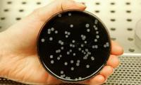 Three dead in Legionnaires' outbreak in Austria