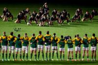 South Africa need cash from New Zealand Tests but All Blacks fans not like Lions