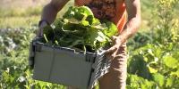 Georgia lawmakers look for solutions to rising cost of family farming
