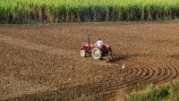 Agriculture Next Big Frontier For Youth Entrepreneurship: LG
