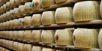 Rising Temperatures Are Threatening Italy’s Bank Reserves—Because They’re Made of Parmesan Cheese