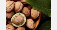 U.S. updates California walnut marketing order rules