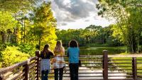 Here's how to 'travel to Japan' without leaving Palm Beach County