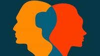Scientists uncover differences between women’s, men’s immune systems