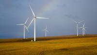 Moldova renewable auction raises questions over ownership transparency