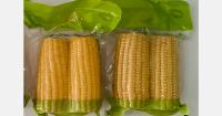 India looks to turn sweet corn volumes into export value