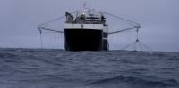 Antarctic krill fishing is now concentrated in the exact pattern conservation rules were designed to prevent