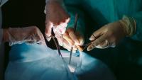 UK suspension lifted for organ transplant fluids three years after contamination reports