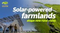 Solar-powered farmlands shape new rural vistas