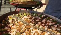 Restaurant Roundup: Pizza Pals and Paella on the Patio