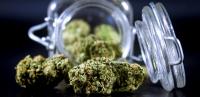 UPDATE: Port officer charged with two counts of cannabis possession