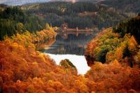 Michigan Fall Forecast Looks Great For Football And Bonfires