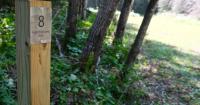 Wisconsin’s first certified forest bathing trail is in Eagle River