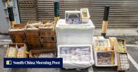 Cockroaches, frozen rats among 118kg of pests, pet food seized in Hong Kong