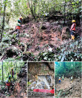 Great Pacific Gold expands Wild Dog high-grade targets with new PNG results