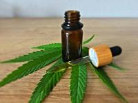 Portugal exports more than 66 tonnes of medicinal cannabis in six months