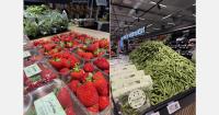 "Lack of snow affects Finnish strawberry supply, while raspberry prices fall and hydro-cooled peas gain ground"