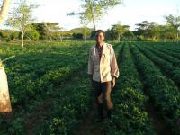 EU-funded matching grants drive green enterprise growth in Zambia