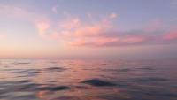 Two Mexican Fishermen Rescued After Days Adrift in Cooler