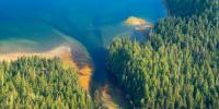 Environmentalists furious as Trump administration plans to end roadless rule on national forests