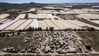 ‘Life is not rosy here’: Migrant workers in Spain’s greenhouses tell of poor pay and hardships
