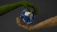 Green Economy Race: Africa’s Window for Economic Sovereignty is Now
