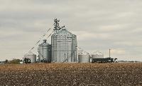Black Sea attacks tighten global wheat logistics