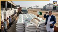 India to import sugar from Pakistan despite trade ban? Pakistan sugar mills eye Indian market after Delhi removes import duty; all you need to know