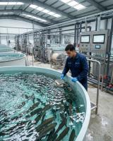 India’s Khyber Aquaculture partners with government to launch trout training program