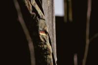 Germany’s new tool for advertising the army – kebab wrappers