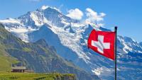Switzerland: 80.5% Of North African Migrants Have Been Accused Of One Or More Crimes