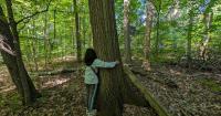 Travel Ontario: From forest bathing to cave exploring, learn about the nature that surrounds us