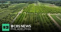 Gov. Shapiro offers $10 million in grants to farmers whose crops were impacted by April freeze
