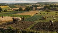 British Agricultural Revolution Helped Shape Modern Farming
