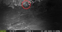 First River Otter Spotted in the Bronx in 100 Years Along the Bronx River
